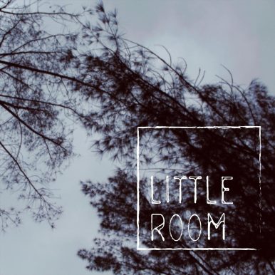 Little Room – Little Room EP