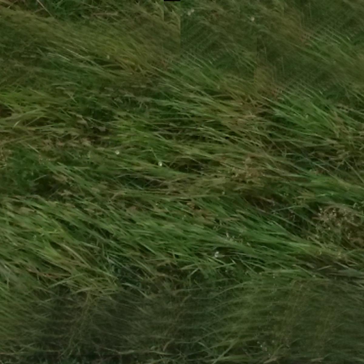 Luiz Renato – Big Grass