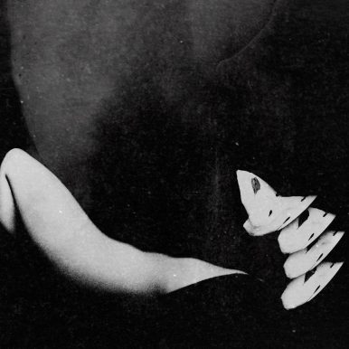 Mal dos Trópicos – deumdentrodooutro