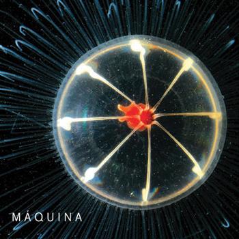 Máquina – Máquina