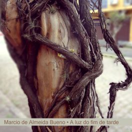 Marcio de Almeida Bueno – A Luz do Fim de Tarde