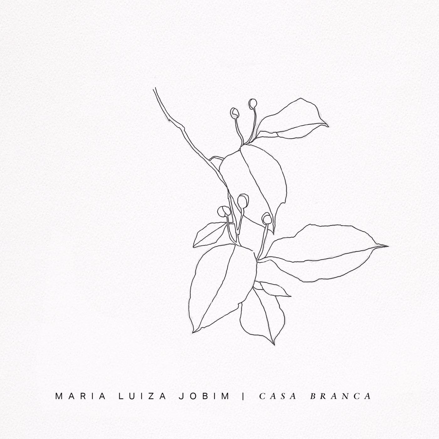 Maria Luiza Jobim – Casa Branca