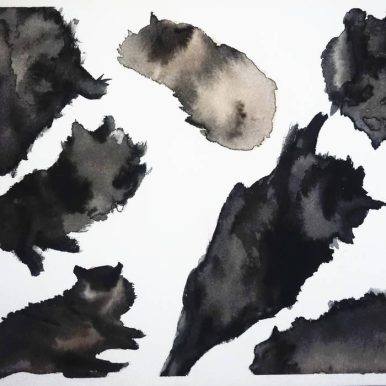 Marie Carangi & Thelmo Cristovam – Marie Carangi & Thelmo Cristovam