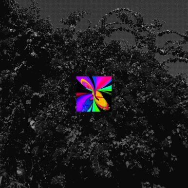 marimbondo – tchau obrigado?