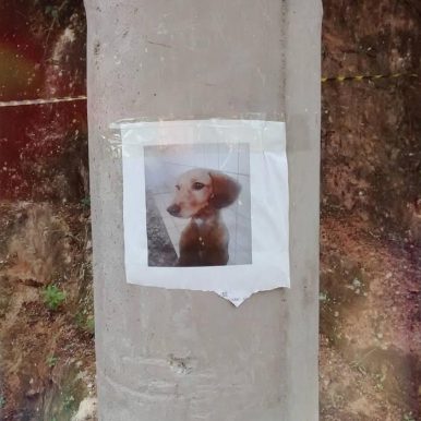 Matheus Ferrari – O Tempo, Temperança