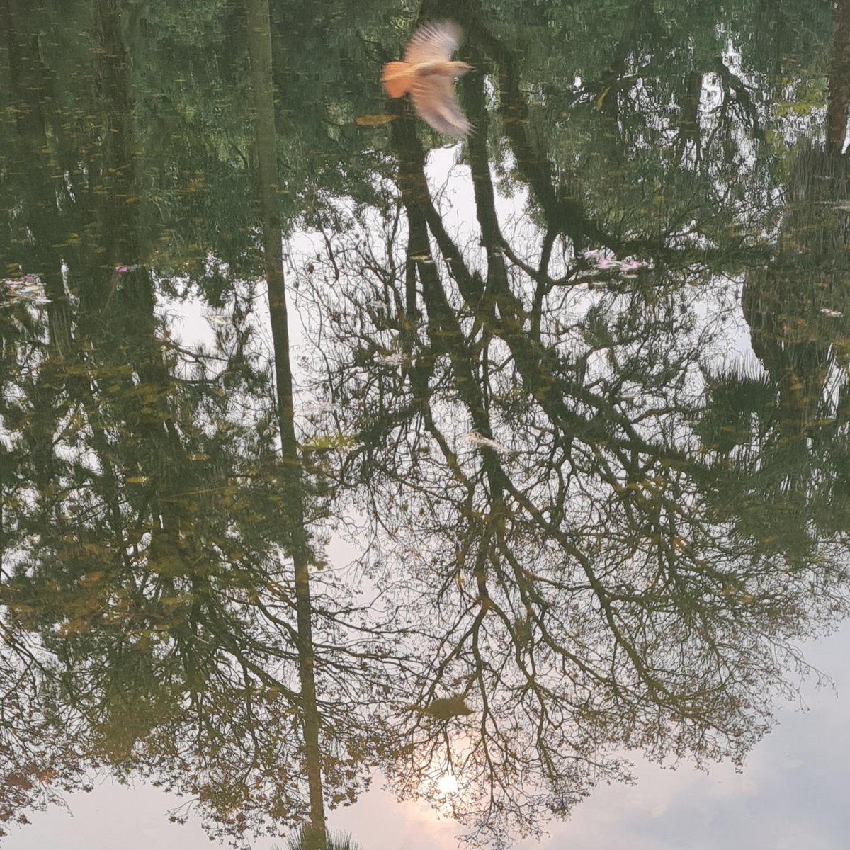 medeborg – anthropocene devotional hymns