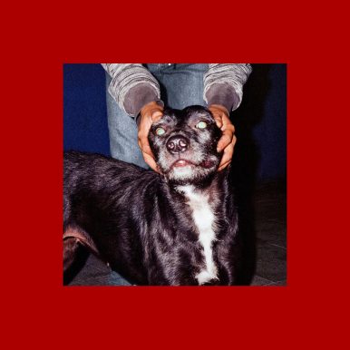 Meio/Cão – Perversor