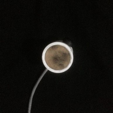 miazzo – evil noise 2