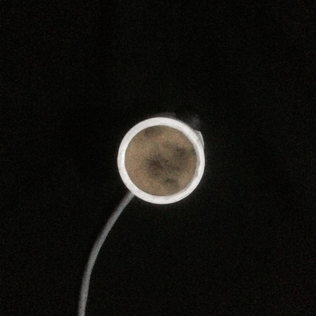 miazzo – evil noise 2