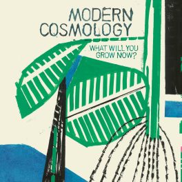 Modern Cosmology – What Will You Grow Now?