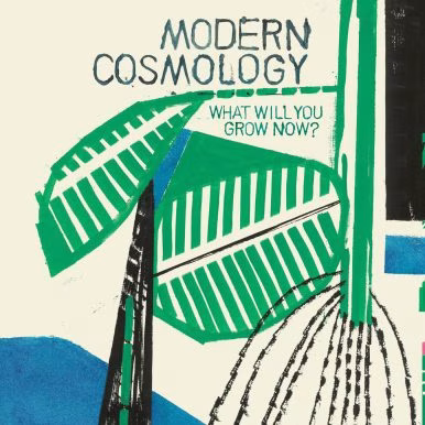 Modern Cosmology – What Will You Grow Now?