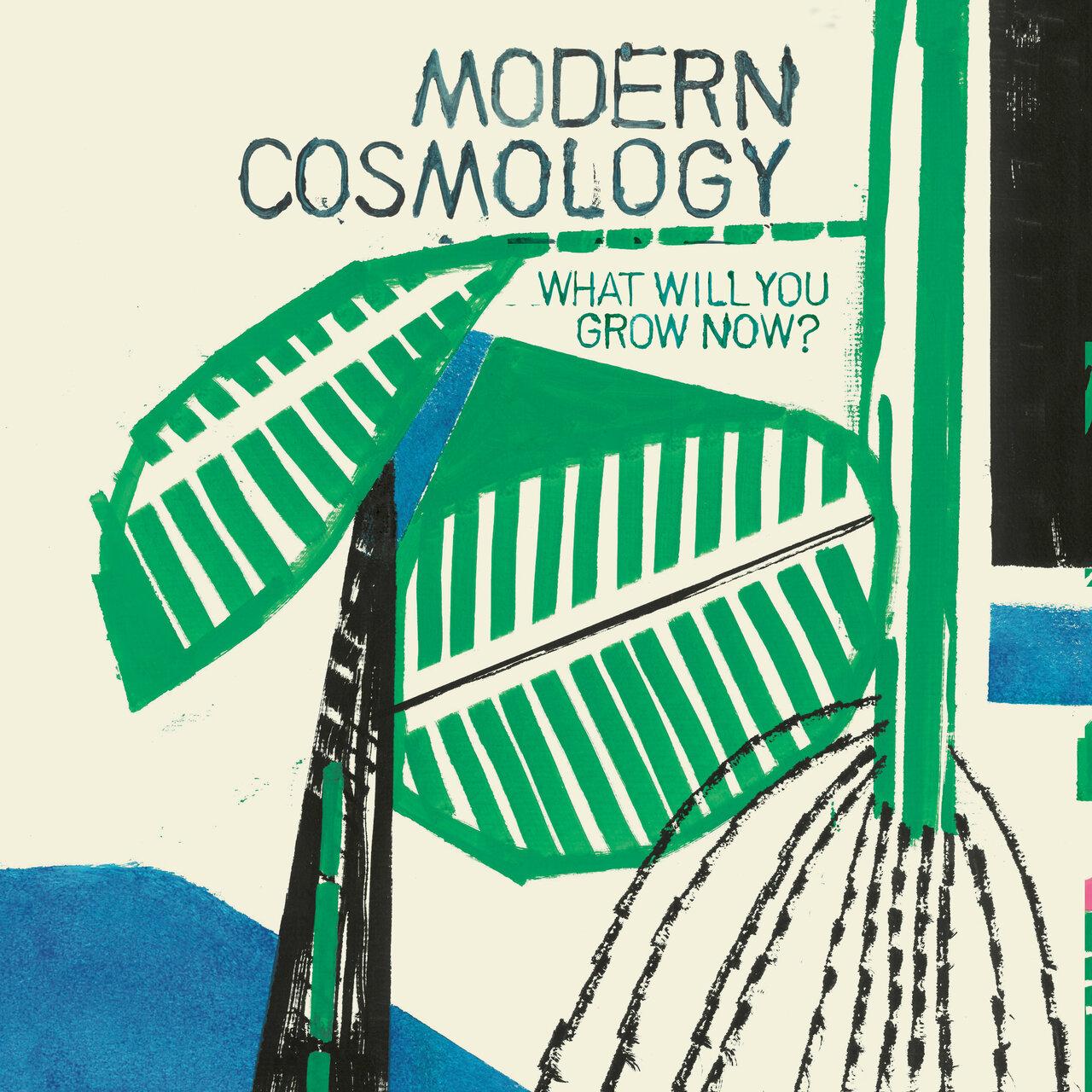 Modern Cosmology – What Will You Grow Now?