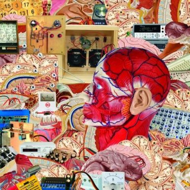 Mombojó – Alexandre