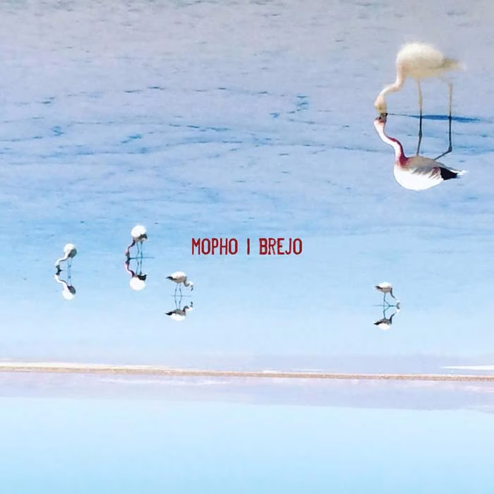 Mopho – Brejo