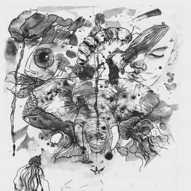 MOS – Novas Desculpas Para Novos Interesses