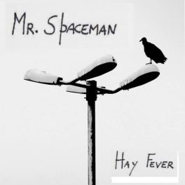 Mr. Spaceman – Hay Fever