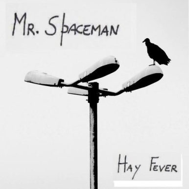 Mr. Spaceman – Hay Fever