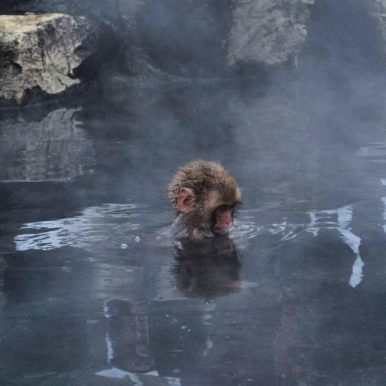 Murilo Mattei – Ocean Ride