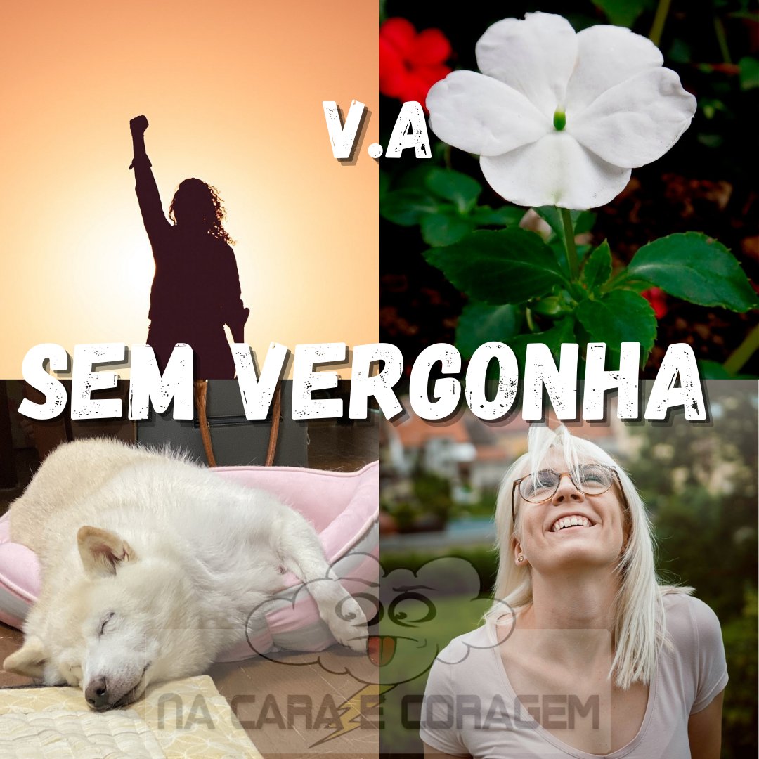 Na Cara e Coragem – VA Sem Vergonha