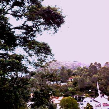 Nees Ees – Nees Ees