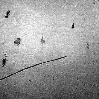 Negro Leo – Coisado