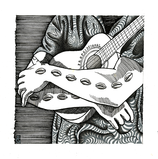 Nelson Brederode – Profissional