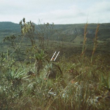 O Cerne – interferências​/​/​desviver