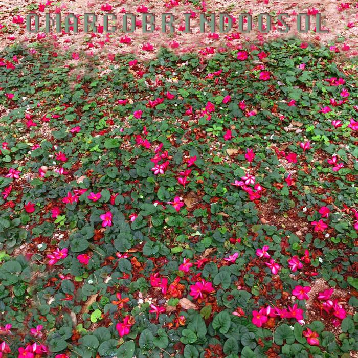 O Mar Cobrindo o Sol – NĂŁo O Suficiente