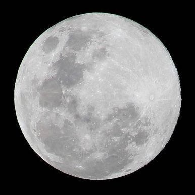 OMSA – Orelhas de Macaco em Solução Aquosa