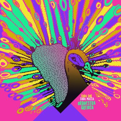 Orquestra Greiosa – Toda Cor, Toda Massa