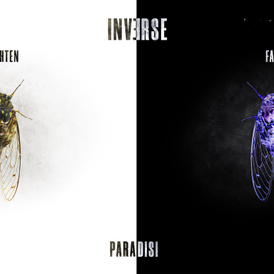 Paradisi – Inverse