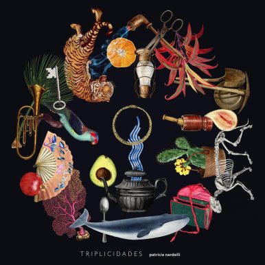 Patricia Nardelli – Triplicidades