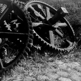 Pedro Lima Campos – O Carteiro, A Costureira, O Porteiro