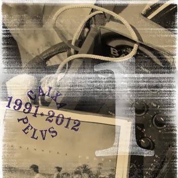 PELVS – 1991-2012 Caixa