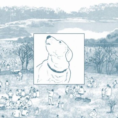 Petunie – support your local feelings [vol​.​01]