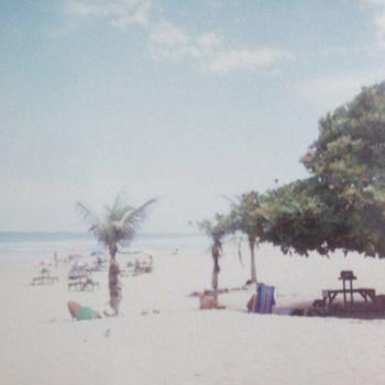 Picnic no Front – E daí se o mundo acabou?