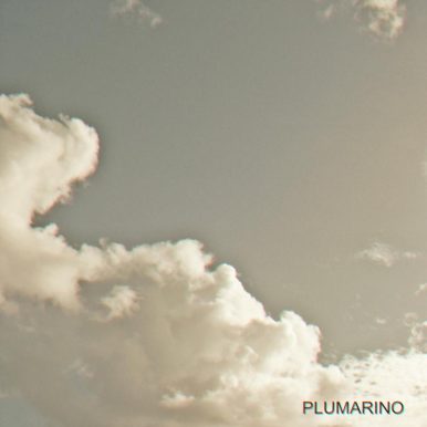 Plumarino – Senseless