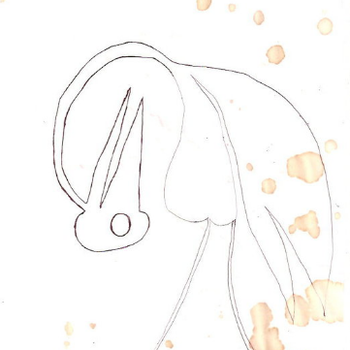 Poruu – poruu_20110301