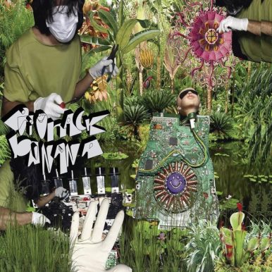 Psilosamples – BIOHACK BANANA