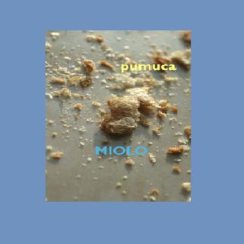 Pumuca – Miolo EP