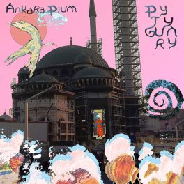 PYTYGUARY – Ankara Pium EP