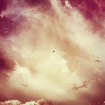 Quase Coadjuvante – Vermelho