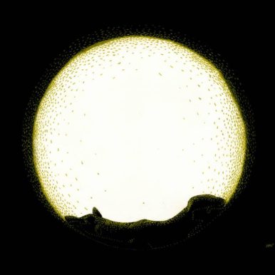 Rafael Elfe – Perro Negro