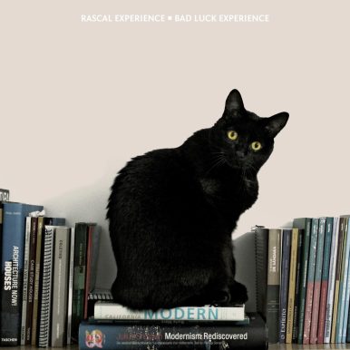 Rascal Experience – Bad Luck Experience