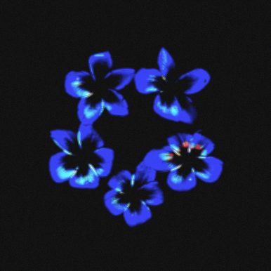 Resp, 3x, Niko – Cotia EP