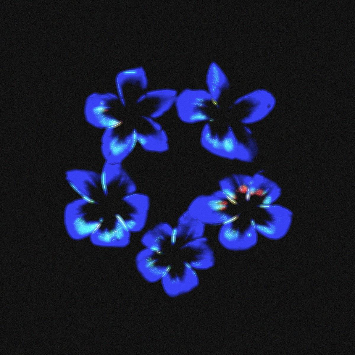 Resp, 3x, Niko – Cotia EP