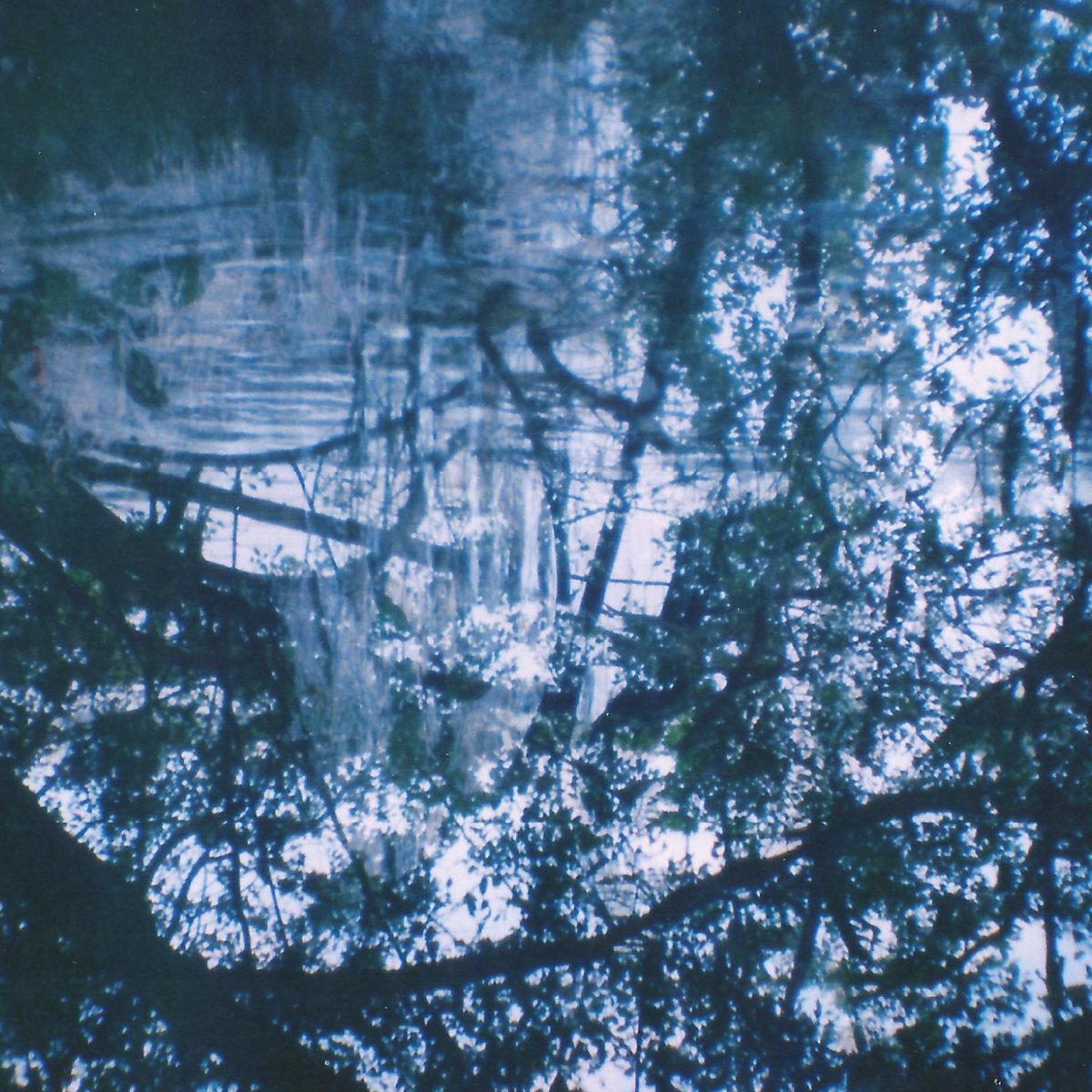 Ruína – Autofagia