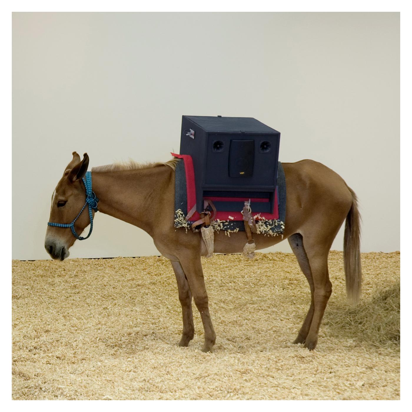 Sambas do Absurdo – Sambas do Absurdo