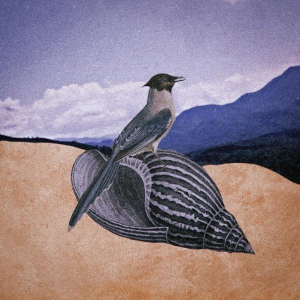 Samico – Pássaro Blue