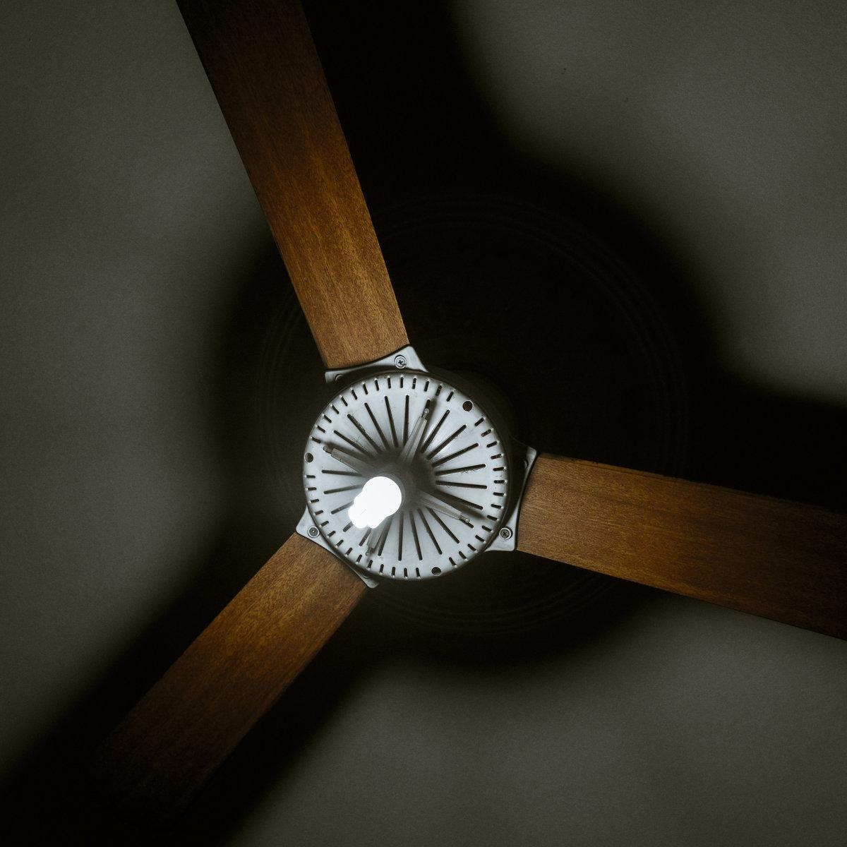 Santos e Neiva – Vivência